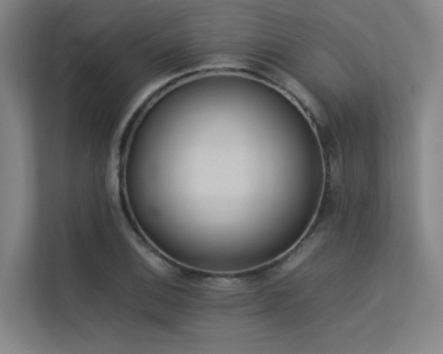 X0000113241124200909101403