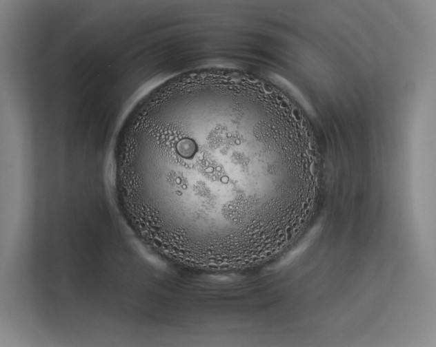 X0000113241125200909101403