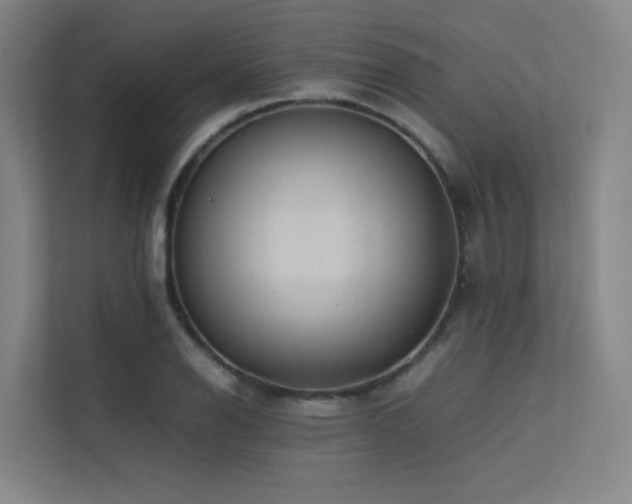 X0000113241126200909101403