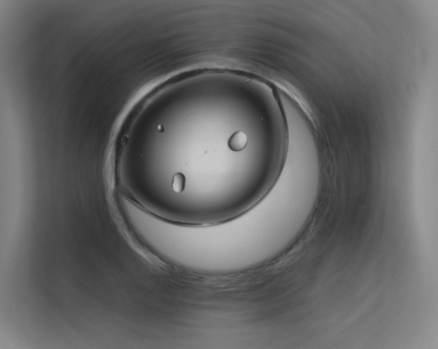 X0000113241128200909101403