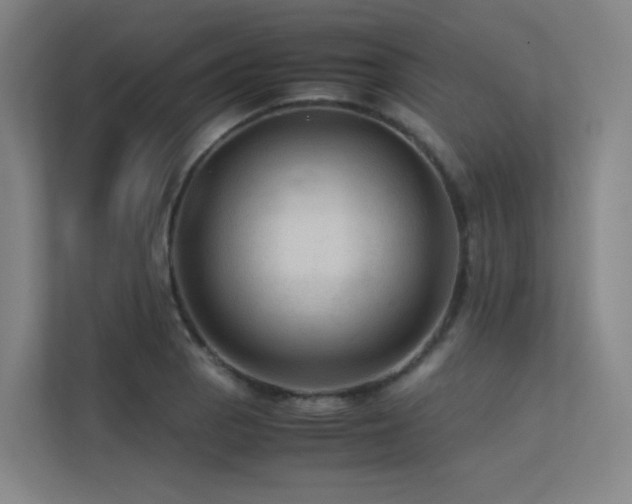 X0000113241129200909101403