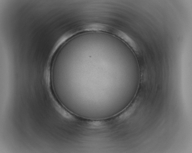 X0000113241130200909101403