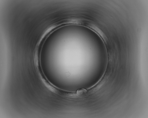 X0000113241131200909101403