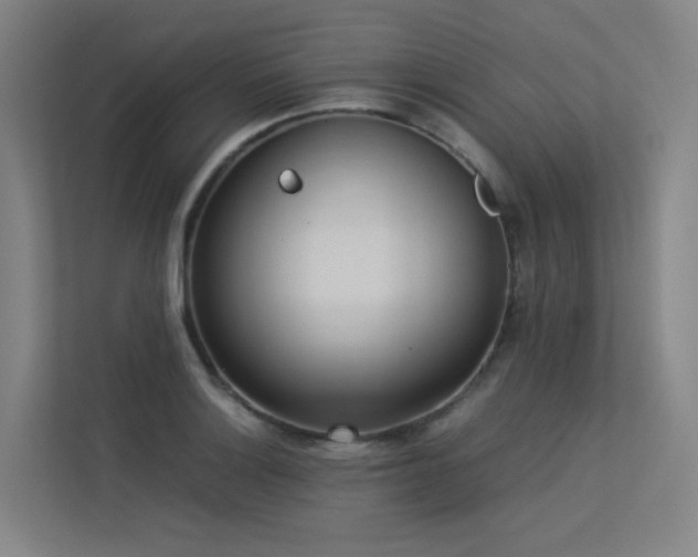 X0000113241132200909101403