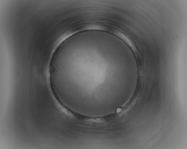 X0000113241133200909101403