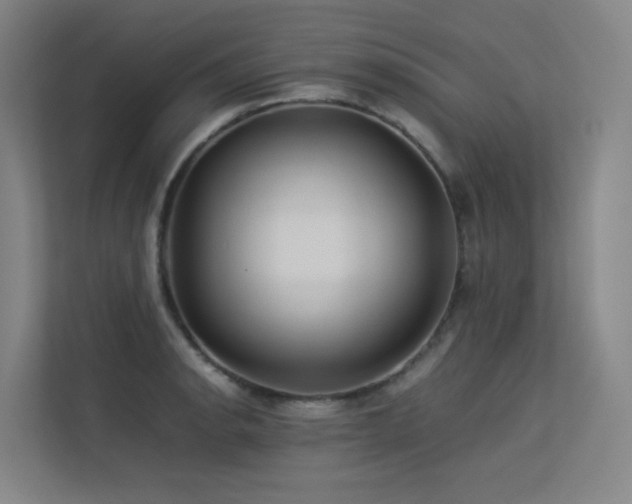 X0000113241134200909101403