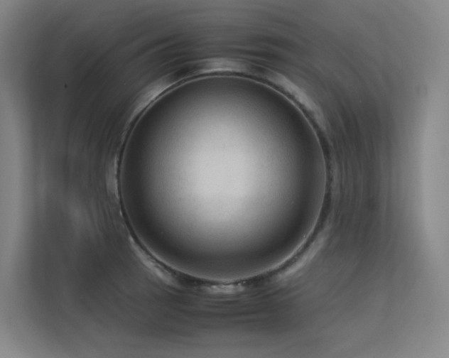 X0000113241137200909101403