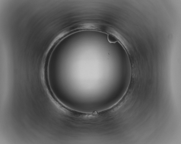 X0000113241139200909101403