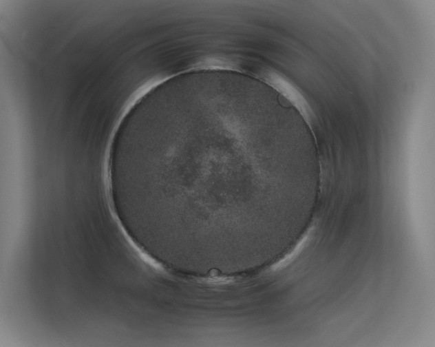 X0000113241141200909101403