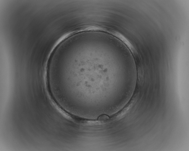 X0000113241142200909101403