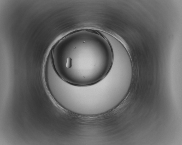 X0000113241144200909101403