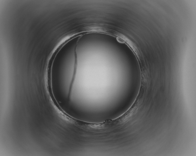 X0000113241147200909101403