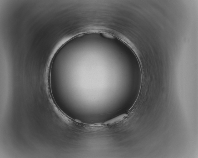 X0000113241152200909101403