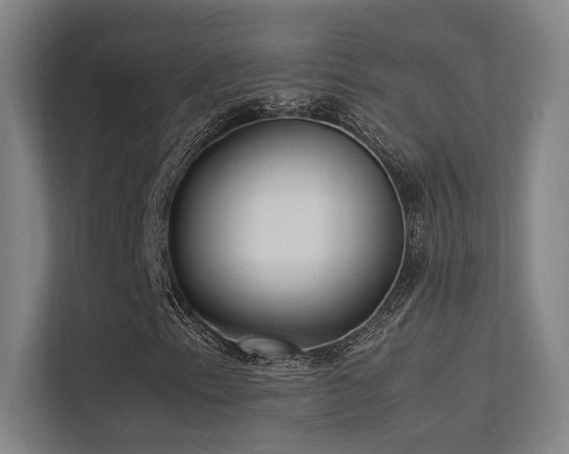 X0000113241153200909101402