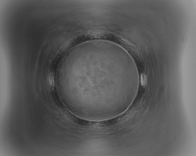 X0000113241155200909101402