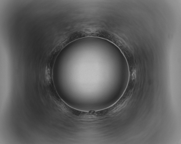 X0000113241156200909101402