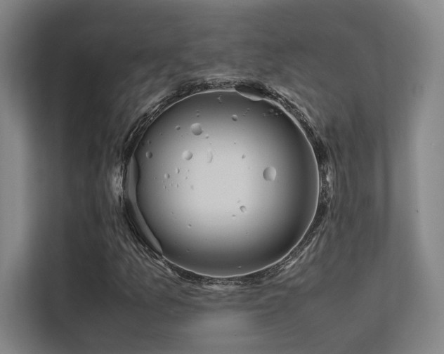 X0000113241157200909101402