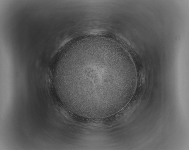 X0000113241158200909101402