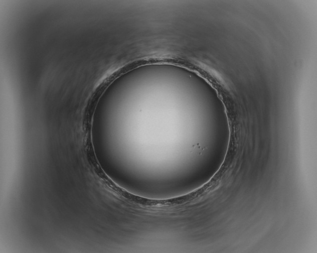 X0000113241160200909101402