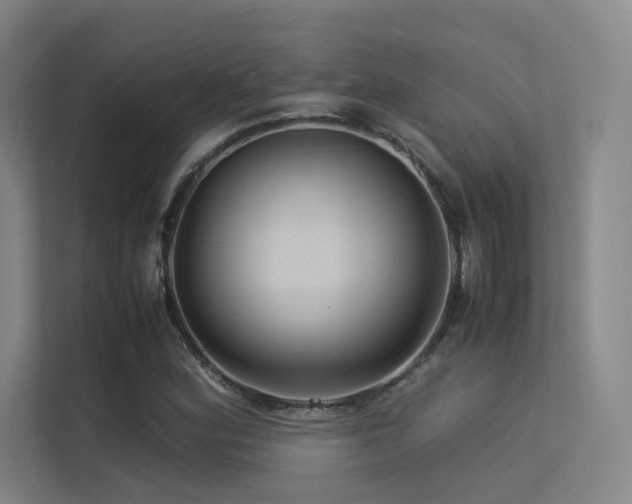 X0000113241164200909101402