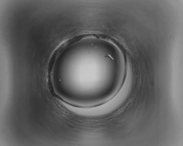 X0000113241165200909101402