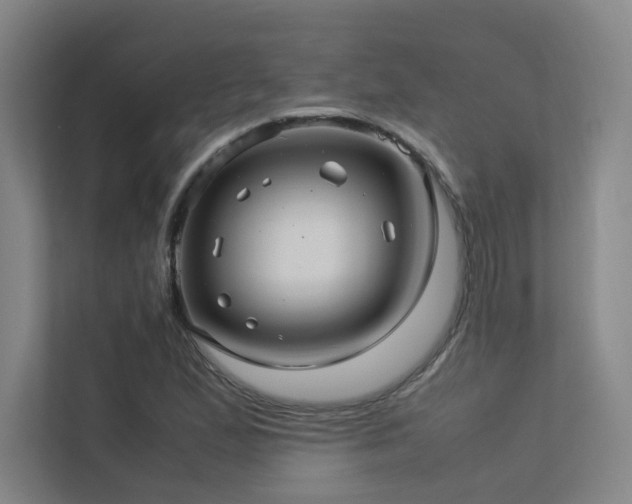 X0000113241167200909101402