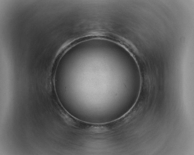 X0000113241168200909101402