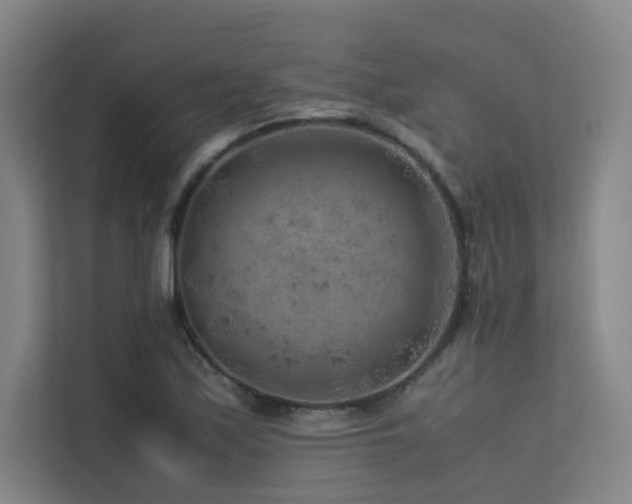 X0000113241171200909101402