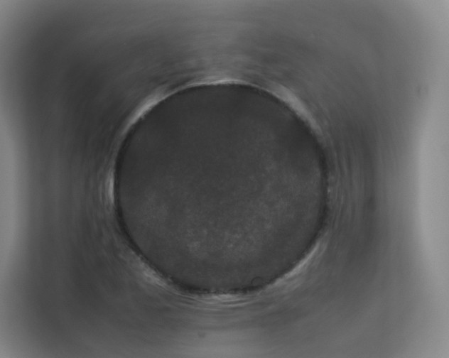 X0000113241173200909101402