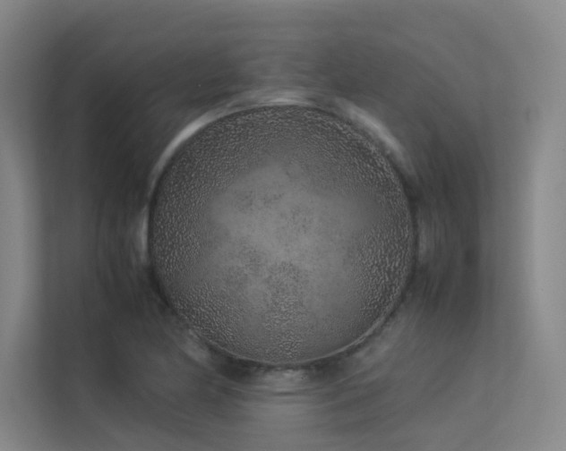 X0000113241174200909101402