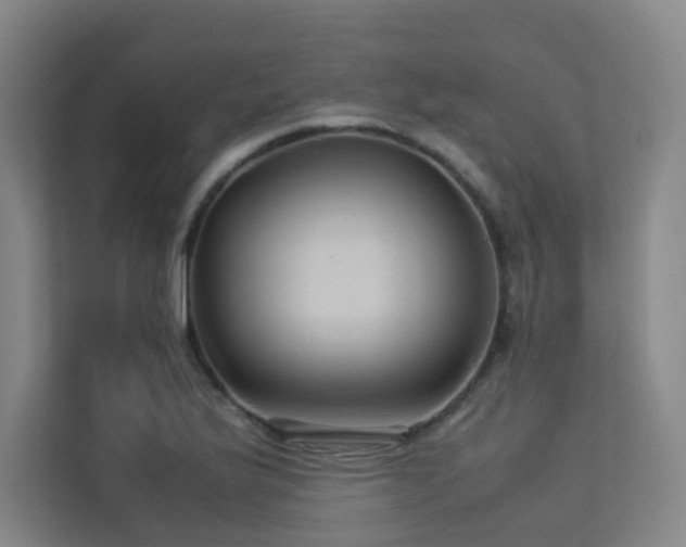 X0000113241175200909101402