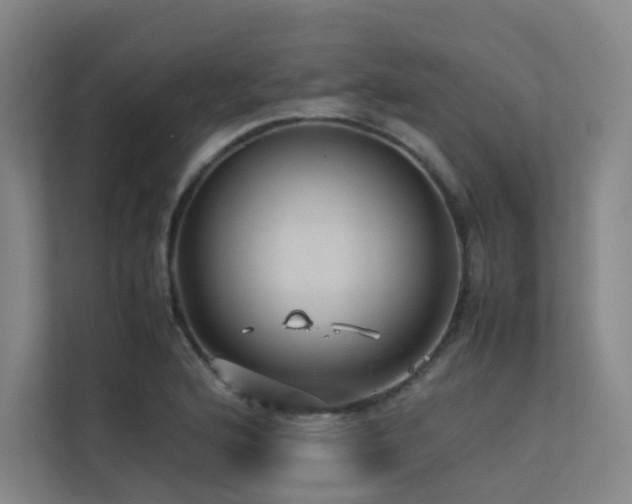 X0000113241176200909101402