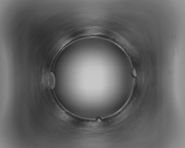 X0000113241177200909101402