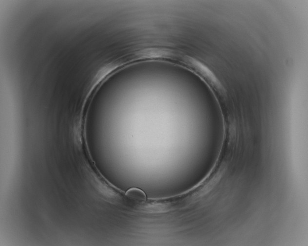 X0000113241178200909101402