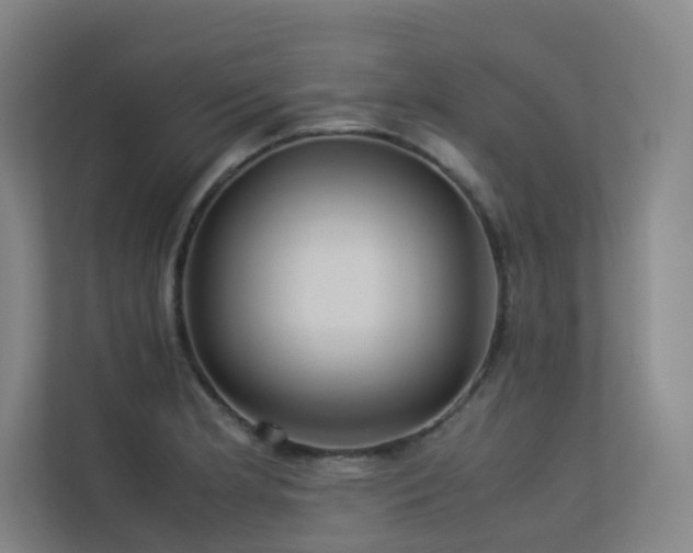 X0000113241181200909101402