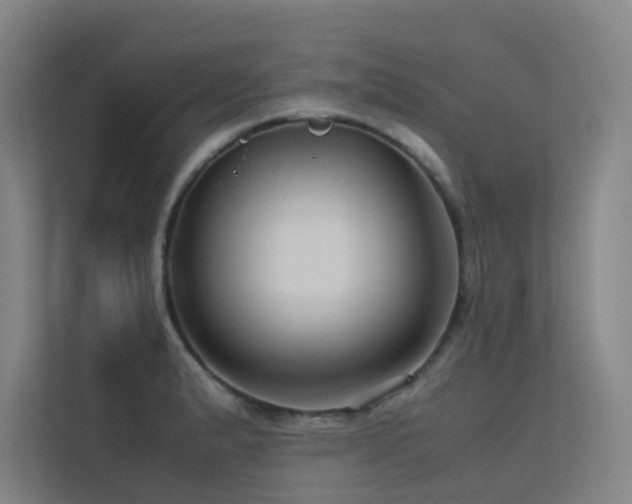 X0000113241183200909101402