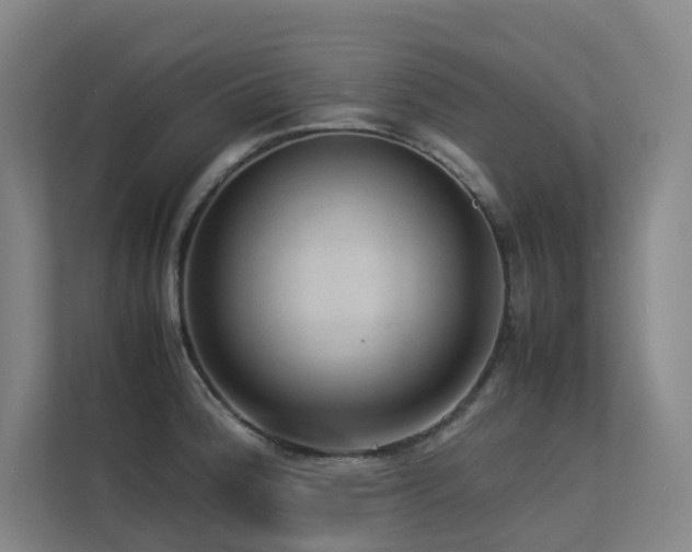 X0000113241188200909101402