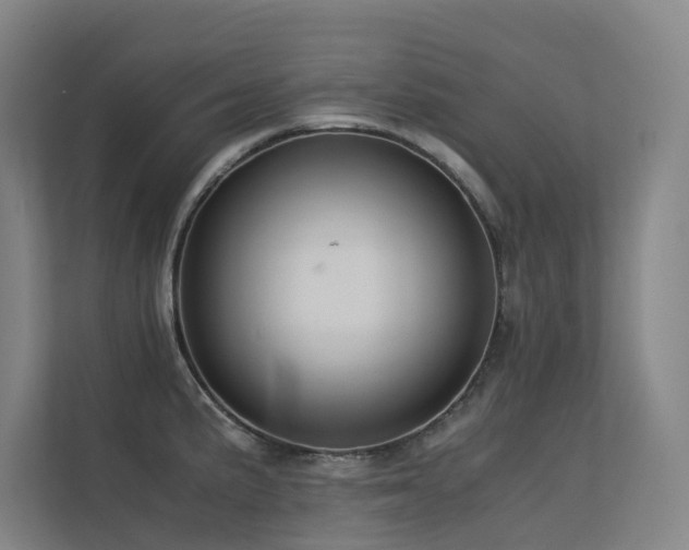 X0000113241191200909101402