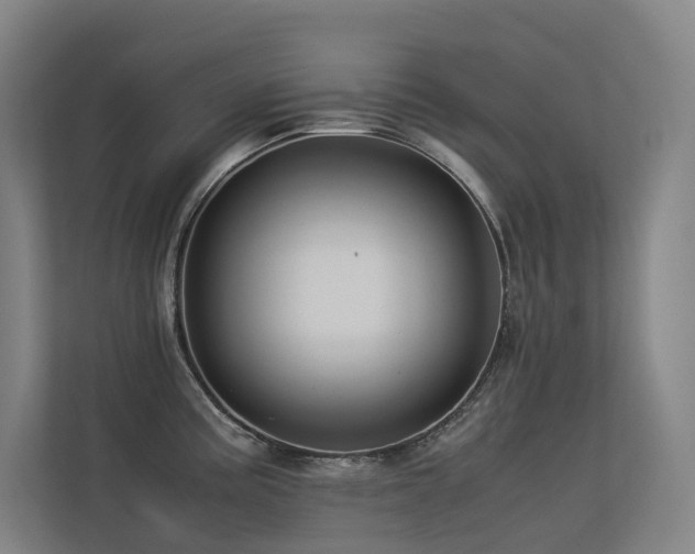 X0000113241195200909101402