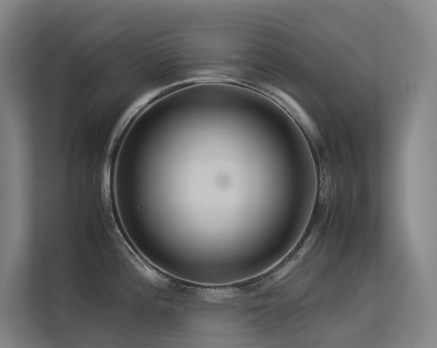 X0000113241196200909101402