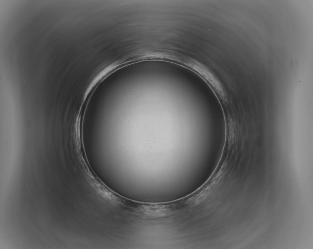 X0000113241198200909101402