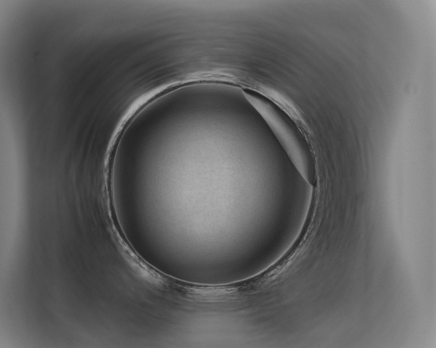 X0000113241200200909101402