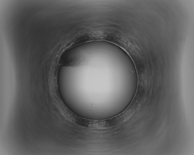 X0000113241201200909101401