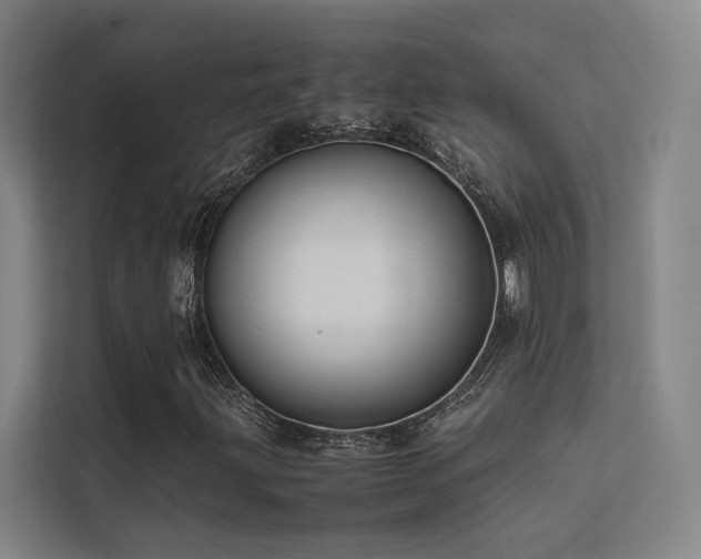 X0000113241203200909101401