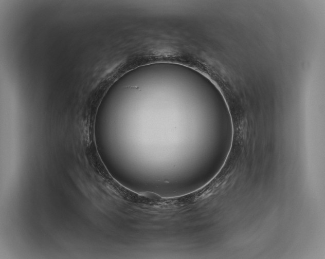 X0000113241205200909101401