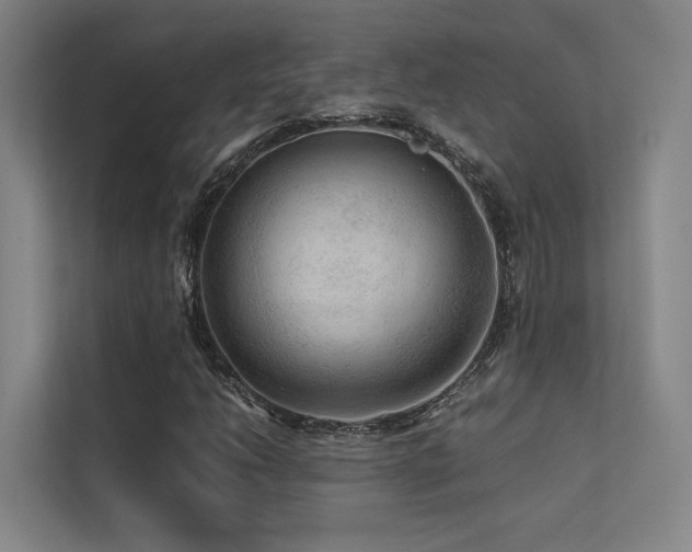 X0000113241206200909101401