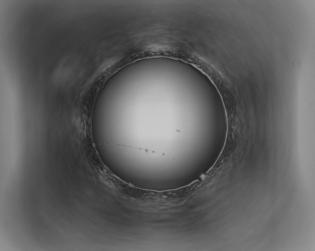 X0000113241207200909101401