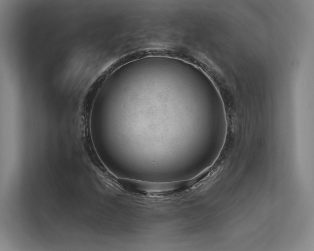 X0000113241208200909101401