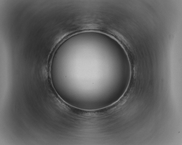 X0000113241212200909101401