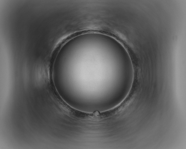 X0000113241214200909101401